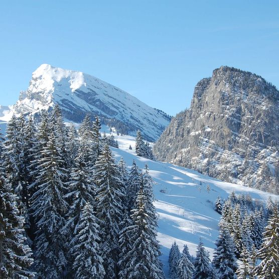 Foto Gipfel von Wiriehorn und Schwarzenberg - zum Foto