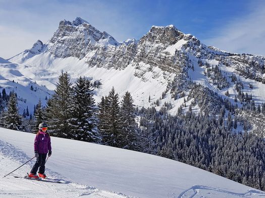 Foto Skifahrerin steht am Rande der Piste - zum Foto
