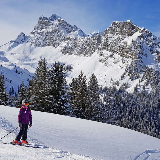 Foto Skifahrerin steht am Rande der Piste - zum Foto