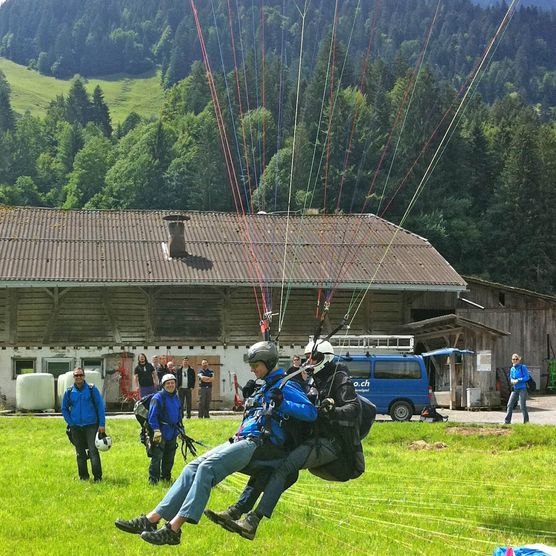 Foto Ein Tandempaar landet sicher auf der grünen Wiese - zum Foto