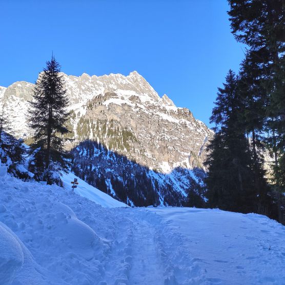 Picture snowshoe trail at the rear Diemtigtal - to the picture