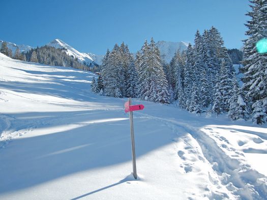 Foto Schneeschuhtrail mit rosarotem Richtungszeiger - zum Foto