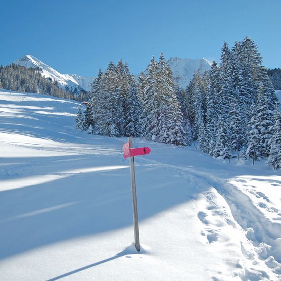 Foto Schneeschuhtrail mit rosarotem Richtungszeiger - zum Foto