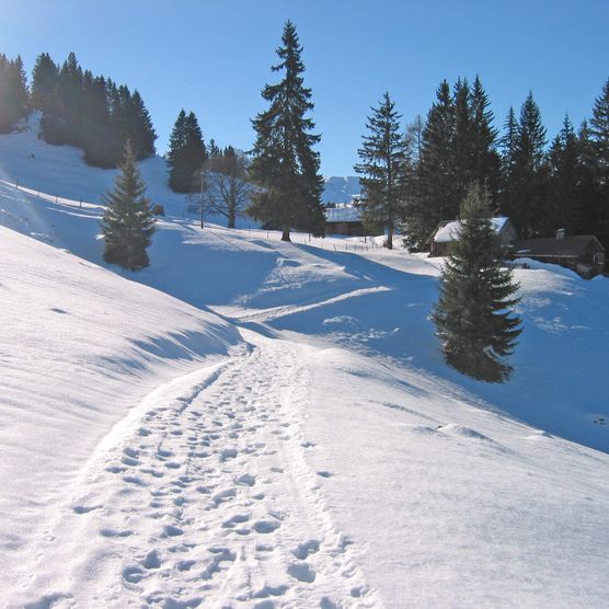 Photo Winter hiking trail through snowy alpine landscape - to the photo