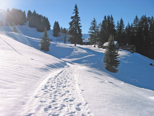 Foto Winterwanderweg durch verschneite Alplandschaft - zum Foto