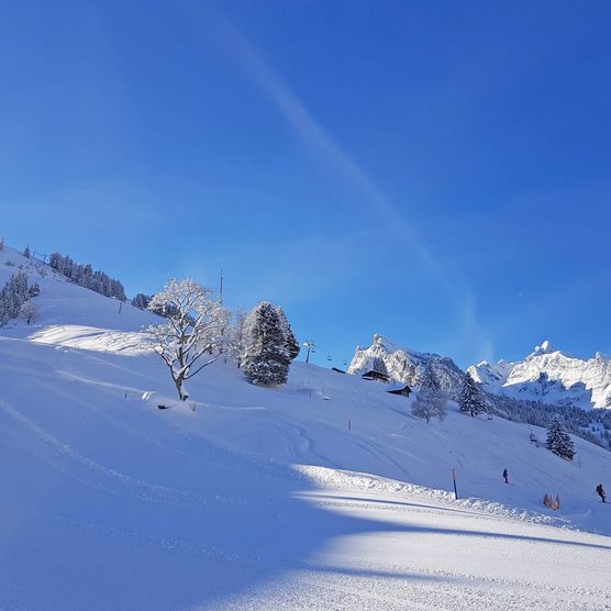 Picture Snow cowered ski slopes at Grimmialp - to the picture