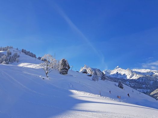 Foto Verschneite Skipisten auf der Grimmialp - zum Foto