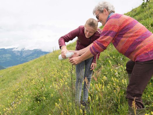 Foto Älplerin und Schülerin kümmern sich um die Weidepflege - zum Foto