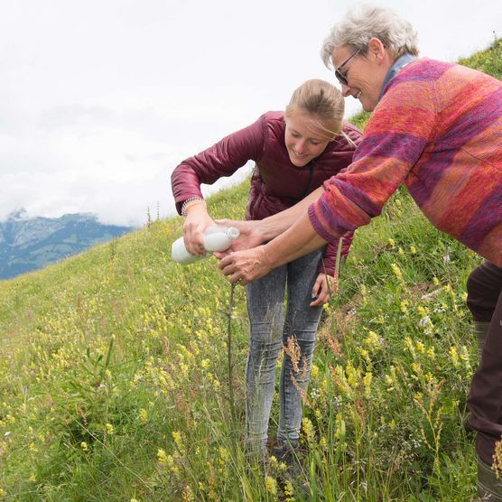 Foto Älplerin und Schülerin kümmern sich um die Weidepflege - zum Foto