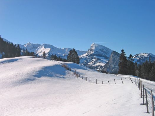 Foto Panoramasicht vom Winterwanderweg Springenboden - zum Foto