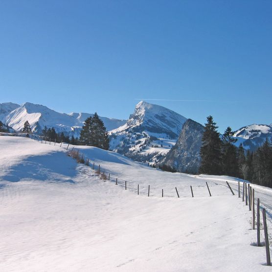 Photo Panoramic view from the winter hiking trail Springenboden - to the photo