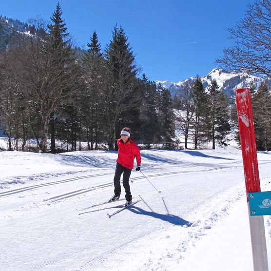 Photo Cross-country skier on the skating trail - to the photo