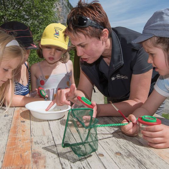 Foto Kinder untersuchen ihre Fangergebnisse aus einem Bergbach - zum Foto