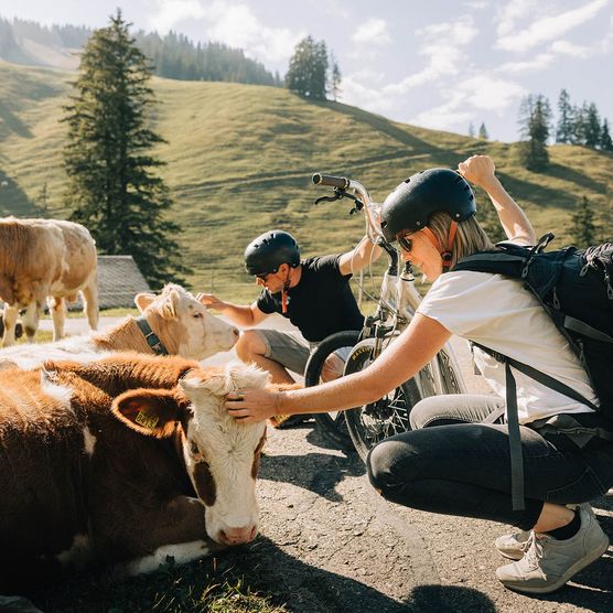 Foto Gruppe von Trottinettfahrern, eine Alphütte im Hintergrund - zum Foto