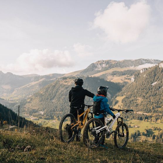 Foto Downhillbiker fährt auf Trail von rechts nach links - zum Foto