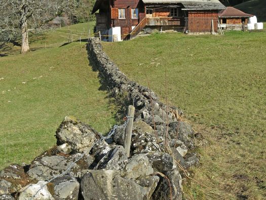 Foto Trockensteinmauer führt zu einer Alphütte - zum Foto