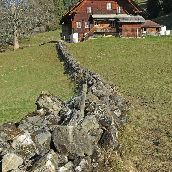 Foto Trockensteinmauer führt zu einer Alphütte - zum Foto