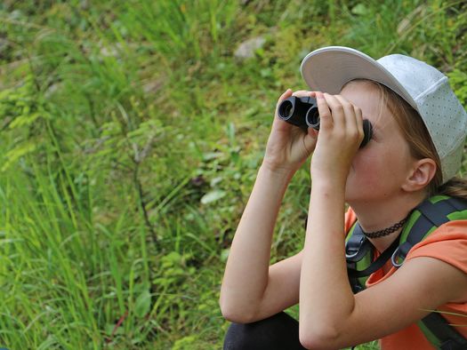 Ein Mädchen beobachtet Alpentiere im Naturpark Diemtigtal durch ein Fernglas