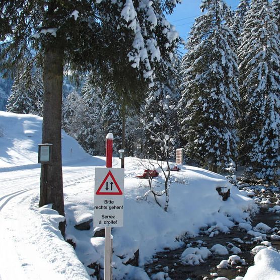 Foto Langlaufloipe im Wald und am Bach - zum Foto