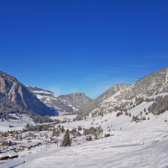 Picture View from the slopes to Schwenden - to the picture