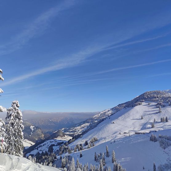 Foto Winterpanoramabild vom Skigebiet Wiriehorn - zum Foto