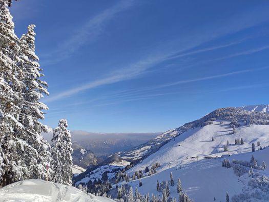 Foto Winterpanoramabild vom Skigebiet Wiriehorn - zum Foto