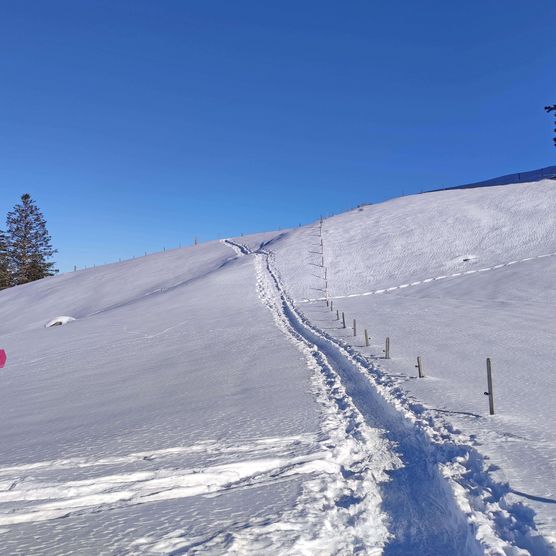 Foto Schneeschuhtrail-Wegweiser mit Bergpanorama - zum Foto