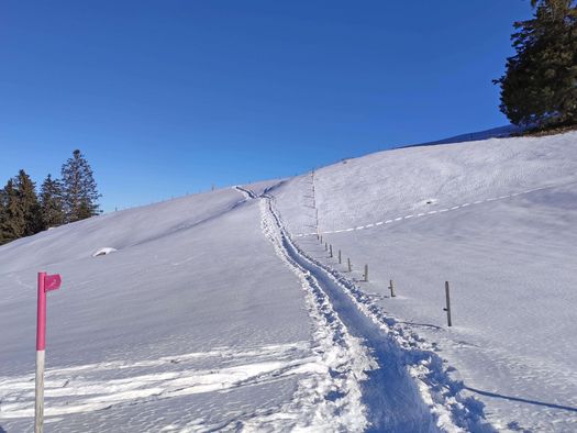 Foto Schneeschuhtrail-Wegweiser mit Bergpanorama - zum Foto