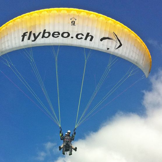 Foto Paraglider in der Luft - zum Foto