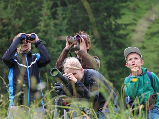 Foto Eine Gruppe beobachtet Wildtiere mit Ferngläsern - zum Foto