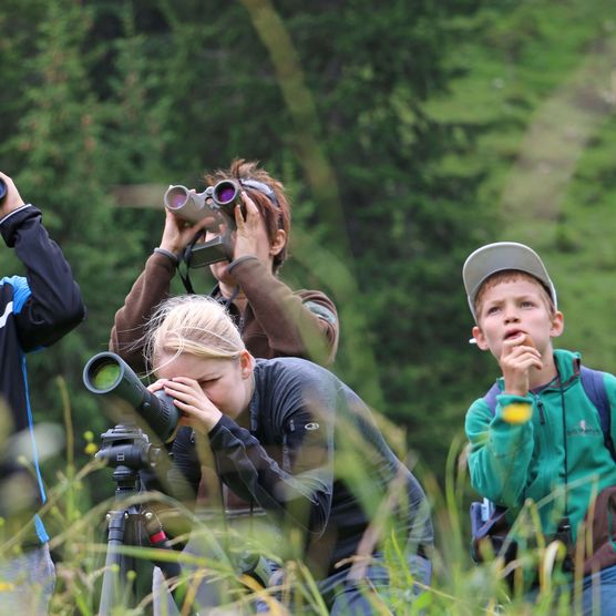 Foto Eine Gruppe beobachtet Wildtiere mit Ferngläsern - zum Foto