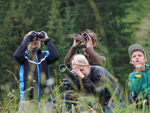 Foto eine Gruppe beobachtet Wildtiere durch Ferngläser - zum Foto
