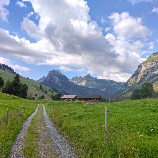 Bild Sicht vom Kurhaus Grimmialp in Richtung Talende - zum Bild