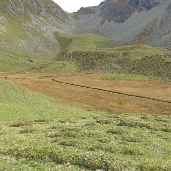 Foto ein kleiner Bach schlängelt sich durch das Flachmoor oberste Gurbs - zum Foto