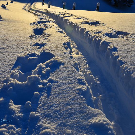 Foto Spuren eines Skitourenläufers im Tiefschnee - zum Foto