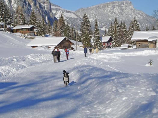 Foto Wanderer mit Hund auf dem Winterwanderweg - zum Foto