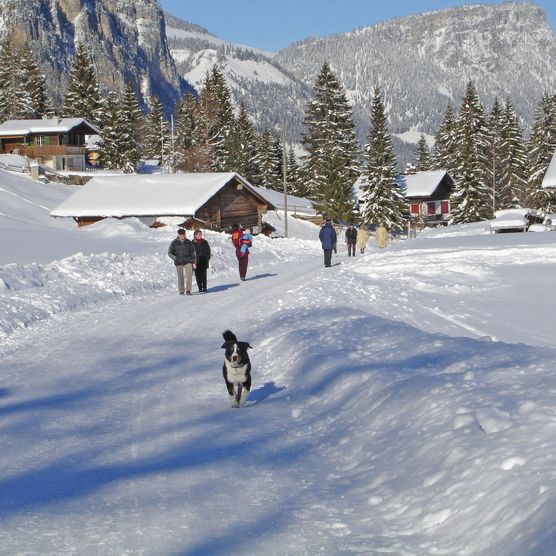 Photo Hiker with dog on the winter hiking trail - to the photo