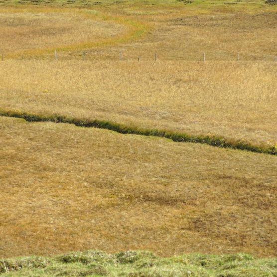 Foto Ein Bach führt durch das Moor Oberste Gurbs - zum Foto