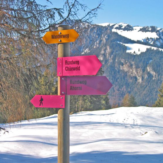 Photo Winter signposts with pink direction signs - to the photo