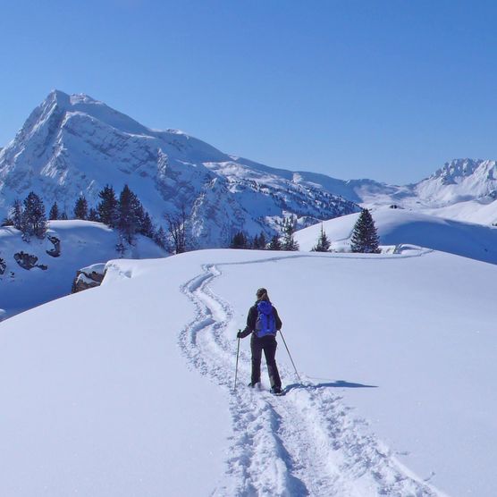 Picture Single person with snowshoes is walking on the Meniggrat - to the picture