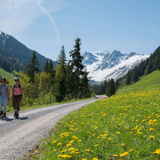 Picture Two women are hiking along the path - to the picture