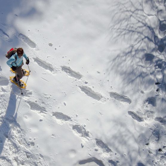 Foto Frau unterwegs mit Schneeschuhen, Ansicht von oben - zum Foto