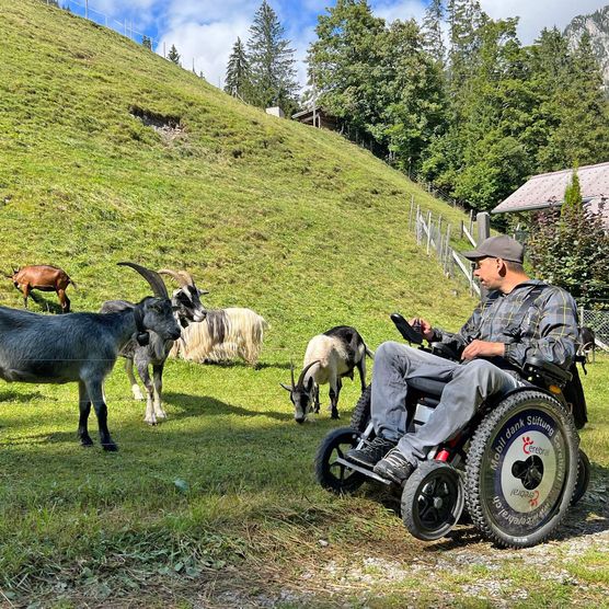 Foto Neugierige Wegbegleiter - zum Foto