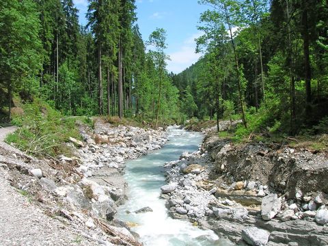 Bergbach gesäumt von Bäumen