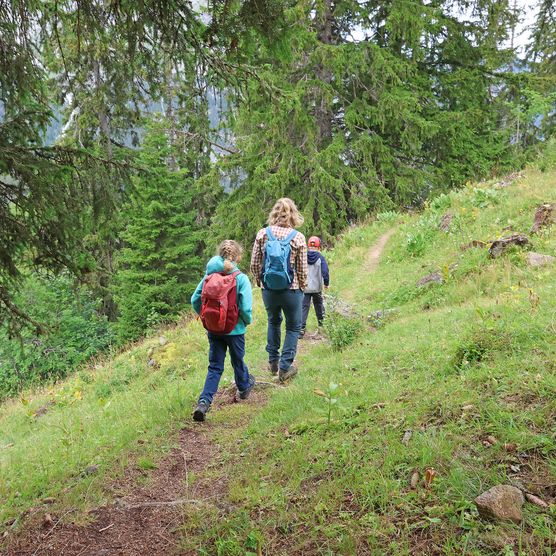 Die Wanderung führt über einen Bergweg abwärts - zum Foto