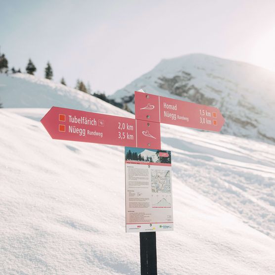 Foto Wegweiser mit Schneeschuhtouren - zum Foto