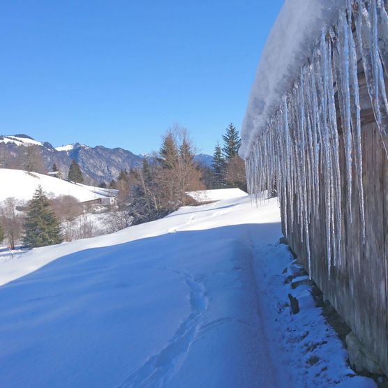 Photo Hut with huge icicles hanging down from the roof - to the photo