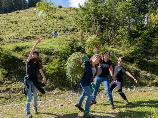 Foto Schüler werfen übermütig Jungfichten in die Luft - zum Foto