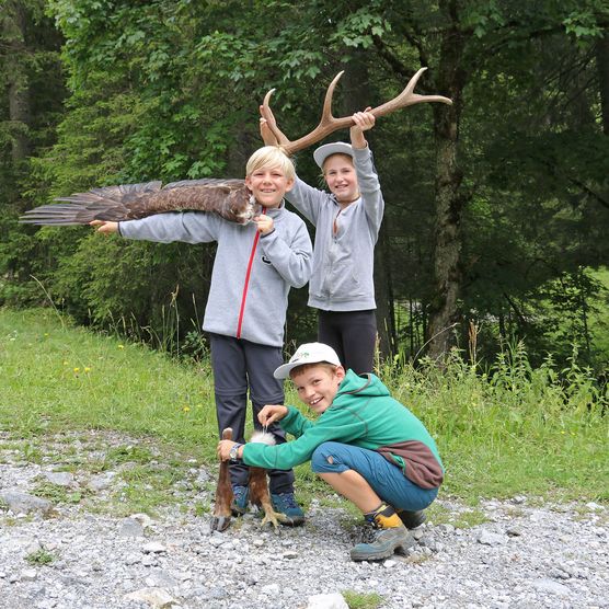 Foto Eine Schülergruppe erfindet mit Tierpräparaten - zum Foto