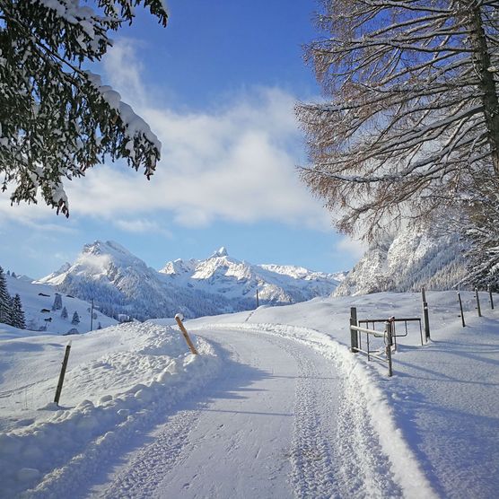 Photo Winter hiking trail with the mountains of the valley end in the background - to the photo